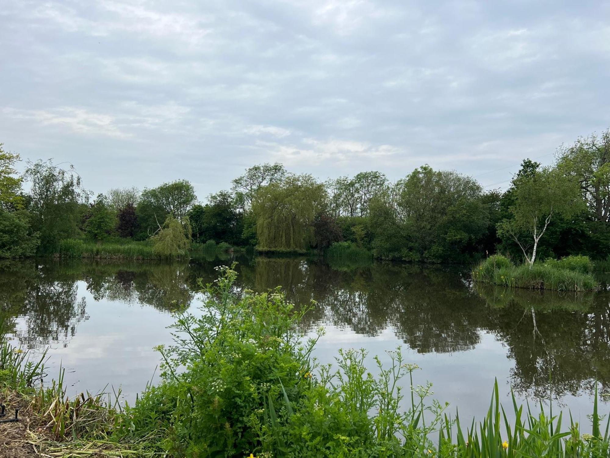 Amber Lodge Hickstead-C Haywards Heath Ngoại thất bức ảnh